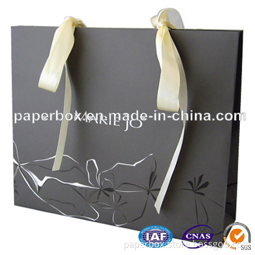 Paper Bag/Gift Bag/Paper Shopping Bag (FXS-221)